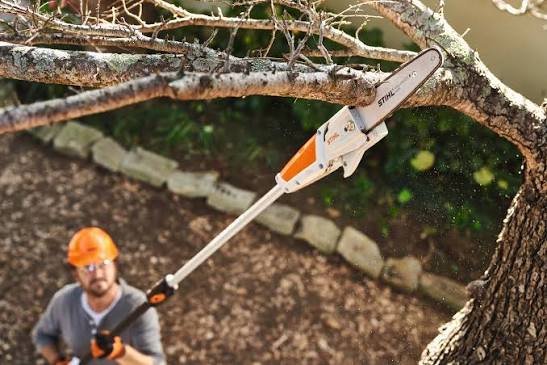Stangsave Stihl HTA 50